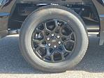 New 2026 Ford F-150 XLT SuperCrew Cab for sale #A06630 - photo 5