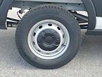 New 2026 Ford Transit 250 Medium Roof Empty Cargo Van for sale #A40012 - photo 6