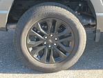 New 2025 Ford F-150 XLT SuperCrew Cab for sale #A41315 - photo 6