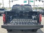 New 2024 Ford F-150 XLT SuperCrew Cab 4x4 Pickup for sale #B61171A - photo 7
