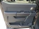New 2024 Ford F-150 XLT SuperCrew Cab 4x4 Pickup for sale #B61171A - photo 14