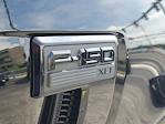 New 2024 Ford F-150 XLT SuperCrew Cab 4x4 Pickup for sale #B61171A - photo 6