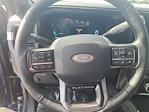 New 2026 Ford F-250 Platinum Crew Cab for sale #C01549 - photo 12