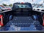 2025 Ford F-250 Crew Cab 4x4 Pickup for sale #C39074 - photo 1