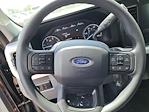2025 Ford F-250 Crew Cab 4x4 Pickup for sale #C39074 - photo 6