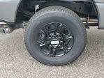 2025 Ford F-250 Crew Cab 4x4 Pickup for sale #C39544 - photo 4