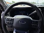 2025 Ford F-250 Crew Cab 4x4 Pickup for sale #C72961 - photo 10