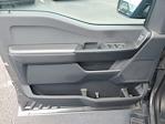 New 2025 Ford F-150 STX SuperCrew Cab Pickup for sale #D01245 - photo 8