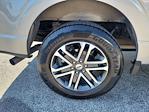 New 2023 Ford F-150 SuperCrew Cab Pickup for sale #D06264A - photo 5