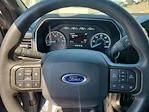 New 2023 Ford F-150 SuperCrew Cab Pickup for sale #D06264A - photo 20