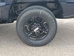 2025 Ford F-250 Crew Cab 4x4 Pickup for sale #D09667 - photo 5