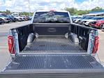 2025 Ford F-150 SuperCrew Cab 4x2 Pickup for sale #D41296 - photo 5