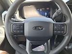 2025 Ford F-150 SuperCrew Cab 4x2 Pickup for sale #D41296 - photo 11