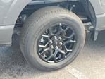 New 2025 Ford F-150 XLT SuperCrew Cab for sale #D46026 - photo 6