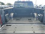 New 2025 Ford F-150 XLT SuperCrew Cab for sale #D46026 - photo 7