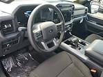 New 2025 Ford F-150 XLT SuperCrew Cab for sale #D46026 - photo 10