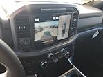 New 2025 Ford F-150 XLT SuperCrew Cab for sale #D46892 - photo 14