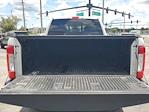 New 2017 Ford F-250 Crew Cab 4x4 Pickup for sale #D56144A - photo 7