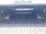 New 2025 Ford F-250 Platinum Crew Cab 4x4 Pickup for sale #D72809 - photo 10