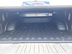 2025 Ford F-250 Crew Cab 4x4 Pickup for sale #D72809 - photo 6