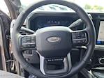 2025 Ford F-250 Crew Cab 4x4 Pickup for sale #D72809 - photo 11