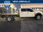 2023 Ford F-450 Crew Cab DRW 4WD Cab Chassis for sale #D97691A - photo 1