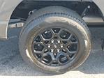 New 2025 Ford F-150 XLT SuperCrew Cab for sale #F08771 - photo 5