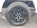 New 2025 Ford F-150 XLT SuperCrew Cab for sale #F17970 - photo 6