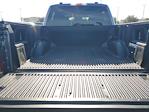 2025 Ford F-150 SuperCrew Cab RWD Pickup for sale #F20474 - photo 6