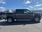 2024 Ford F-150 SuperCrew Cab 4WD Pickup for sale #P25801 - photo 4