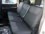 2024 Ford F-150 SuperCrew Cab 4x4 Pickup for sale #F240927 - photo 11