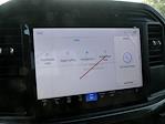 2024 Ford F-150 SuperCrew Cab 4x4 Pickup for sale #F240927 - photo 19
