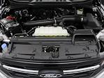 2024 Ford F-150 SuperCrew Cab 4x4 Pickup for sale #F240955FC - photo 31