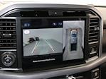 New 2025 Ford F-150 XLT SuperCrew Cab for sale #F250336FC - photo 20