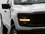 2025 Ford F-150 Regular Cab 4x2 Pickup for sale #F250378 - photo 5