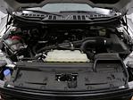 2024 Ford F-150 SuperCrew Cab 4x4 Pickup for sale #PFM24164 - photo 33