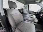 New 2026 Ford F-150 XL Regular Cab for sale #5D08563 - photo 14