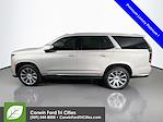 2024 Cadillac Escalade 4WD SUV for sale #6301378 - photo 7