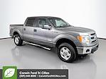 2013 Ford F-150 SuperCrew Cab 4WD Pickup for sale #6A06521 - photo 1