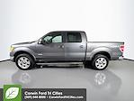 2012 Ford F-150 SuperCrew Cab 4WD Pickup for sale #6A96856 - photo 7