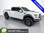 Used 2018 Ford F-150 Raptor SuperCrew Cab for sale #6B21451 - photo 1
