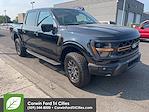 2024 Ford F-150 SuperCrew Cab 4x4 Pickup for sale #6B92182 - photo 1