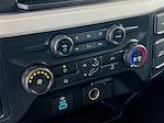 2023 Ford F-350 Crew Cab SRW 4x4 Pickup for sale #6D20757 - photo 11