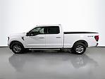 2024 Ford F-150 SuperCrew Cab 4x4 Pickup for sale #6D28918 - photo 8