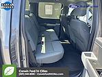 2024 Ford F-150 SuperCrew Cab 4x4 Pickup for sale #6D29768 - photo 5