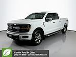 2024 Ford F-150 SuperCrew Cab 4WD Pickup for sale #6D44893 - photo 6