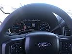 2022 Ford F-250 Crew Cab 4x4 Pickup for sale #6D76198 - photo 3