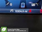 2024 Ford F-150 SuperCrew Cab 4x4 Pickup for sale #6E24695 - photo 4