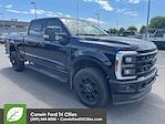 2024 Ford F-350 Crew Cab SRW 4x4 Pickup for sale #6E47757 - photo 1