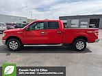2013 Ford F-150 SuperCrew Cab 4x4 Pickup for sale #6E52002 - photo 11